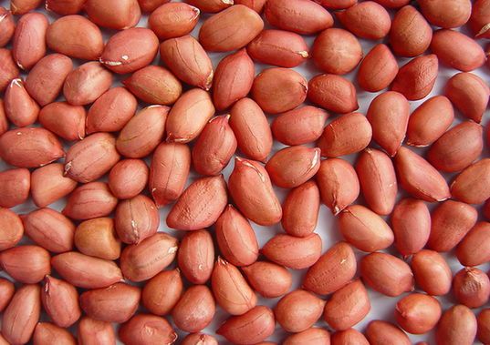Sell Peanut kernel