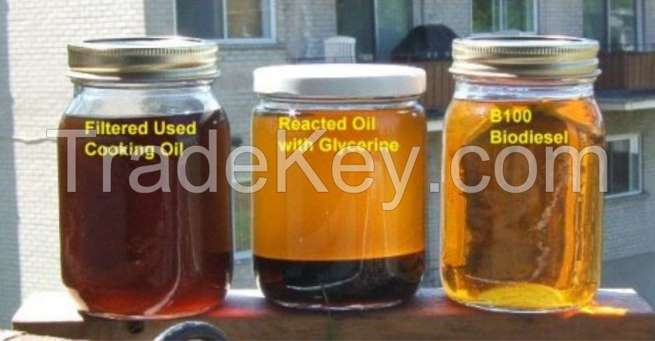 Refined and Crude Sesame Oil