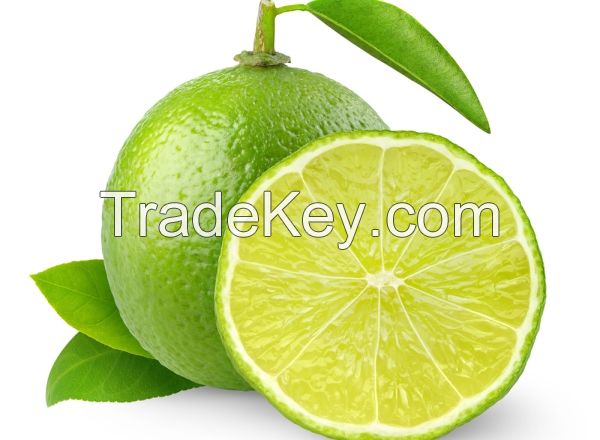 Fresh seedless lime for sale