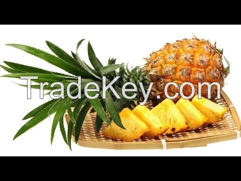 Fresh Pineapple for sale