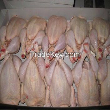 Frozen Whole Chicken and Parts / Gizzards / Thighs / Feet / Paws / For Sale