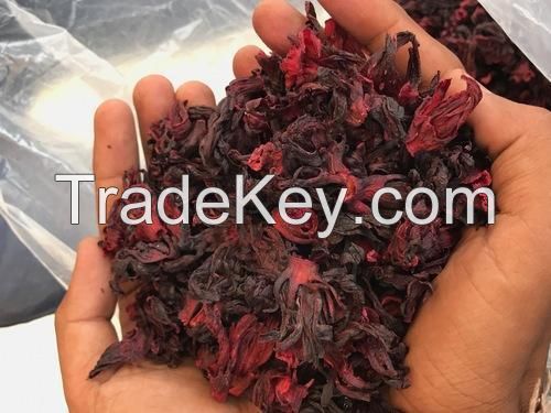 Wholesale Fitness Herbal Tea Dried Hibiscus Flower Dried Roselle