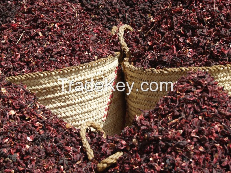 Red Color dried hibiscus flowers
