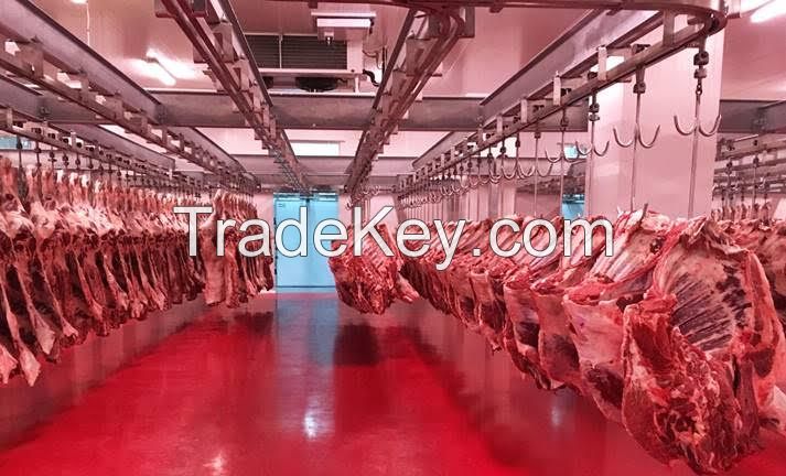 FROZEN SHEEP MEAT GOAT MEAT LAMB MEAT CARCASS, Mutton