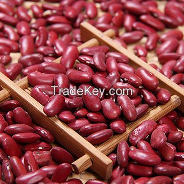 Edible Kidney Beans Red