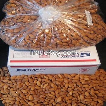 Best Grade Almond Nuts Raw Natural Almond Nuts Organic