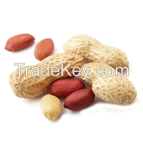 peanuts and peanuts, ground nuts for sale at Low Price