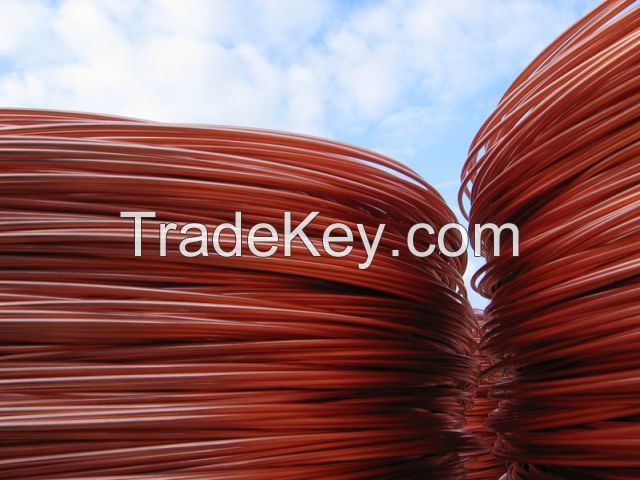 Selling  Copper Wire Rod oxygen-free