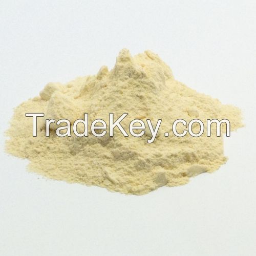 Dehydrated White onion Powder