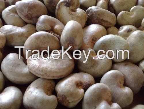 Natural Raw Cashew Nut in Shell.