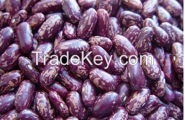 Purple speckled kidney beans.