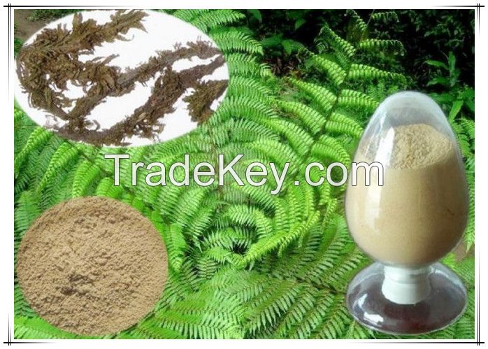 Huperzia Serrata Extract Huperzine A