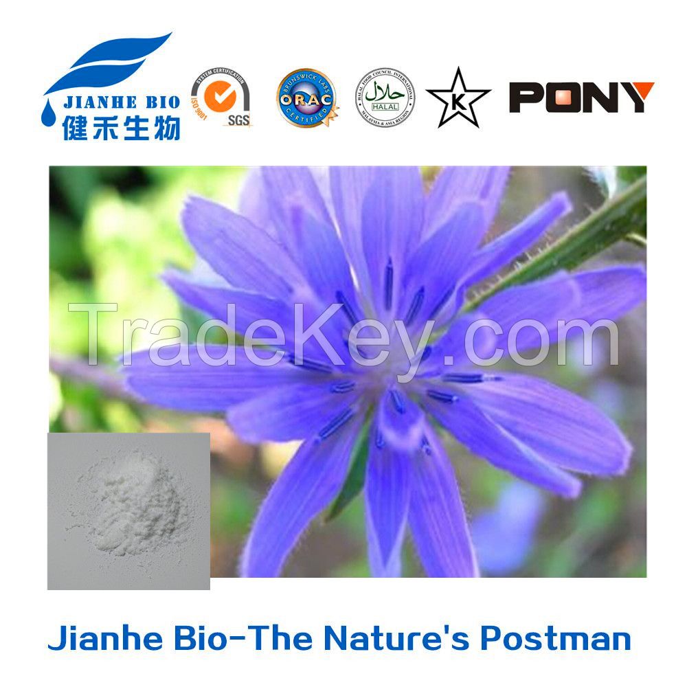 Chicory Extract Inulin Powder for Prebiotic