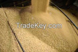 Best Grade Soybean meal for animal feed