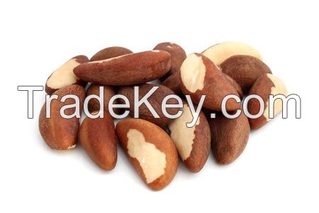 Brazil  Nuts