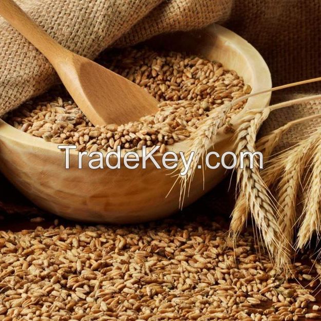 Dried style russian organic wheat