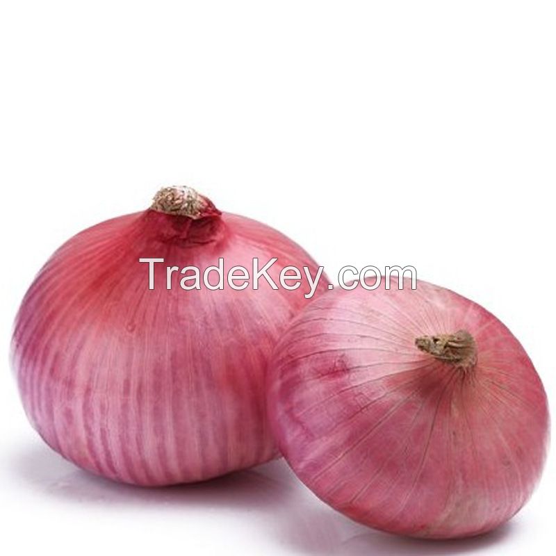 Round fresh red onions fresh cheap onion