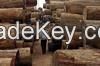 Timber Logs for sale