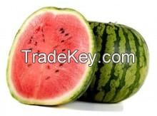 FRESH WATER MELON