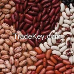 Kidney Beans