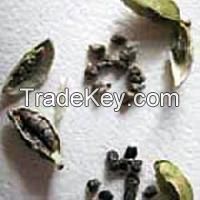 Cardamom Seeds