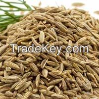 Cumin Seeds