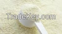 whey powder