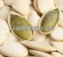 Pumpkin Seeds