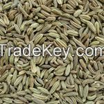 Grade AAA+ Fennel Seeds / Frist Quality Organic Fennel Seeds
