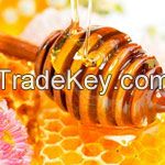 100% Pure Natural Honey For Export!