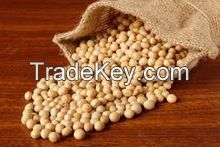 Natural organic raw soybeans