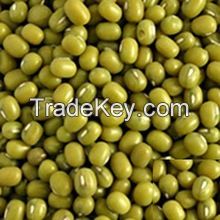 100% PURE PREMIUM QUALITY DRIED GREEN MUNG BEAN