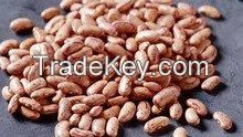 Light Speckled Kidney Beans /Pinto Beans/Sugar Beans