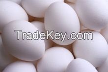 Fresh Table Chicken Eggs ( Brown and White)