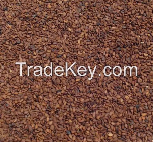 SESAME SEEDS, JUTE, JUTE YARN AND JUTE GOODS