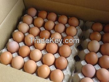 Fresh White and brown eggs