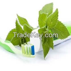 Herbal Tooth paste