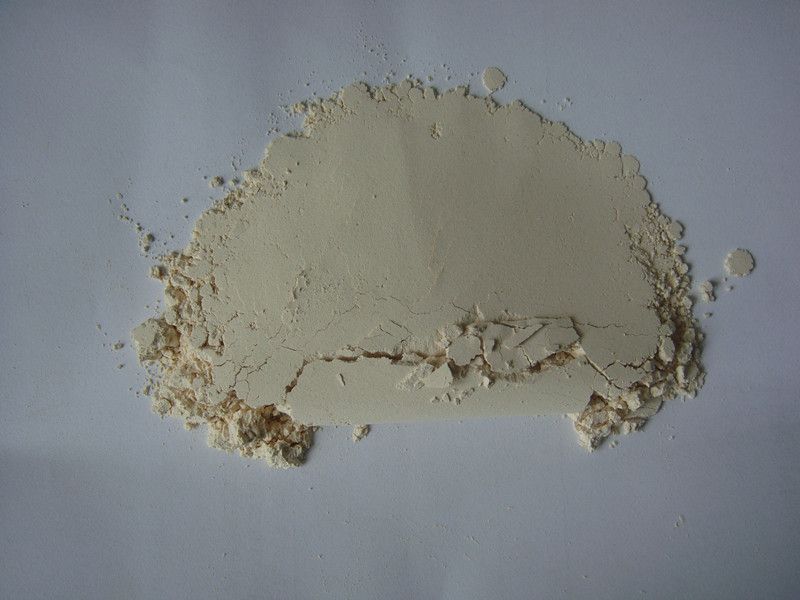 onion powder