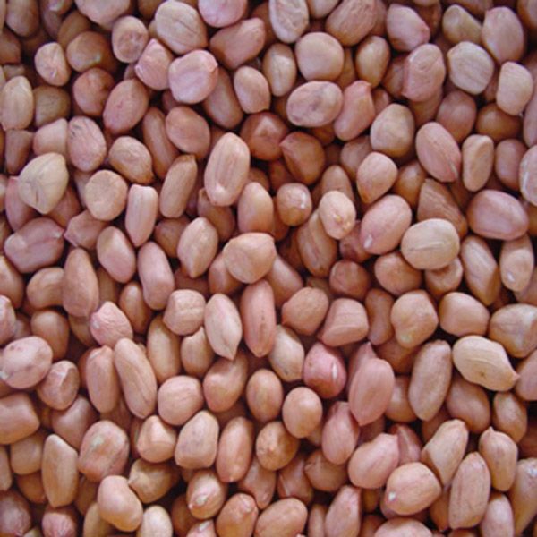 peanut kernels