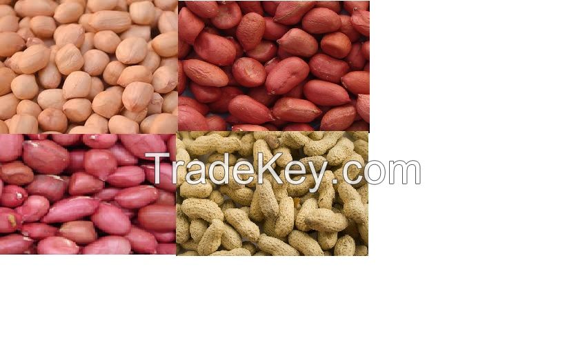 Peanuts crop 2016