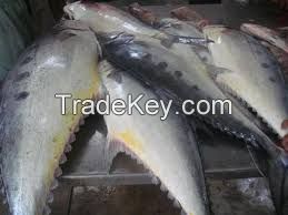 Fresh Frozen queen fish for sale