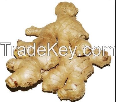 Split Dry Ginger from Nigeria for Export