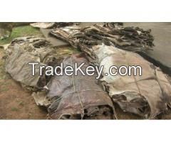 AIR SUN DRIED DONKEY HIDES/SKINS