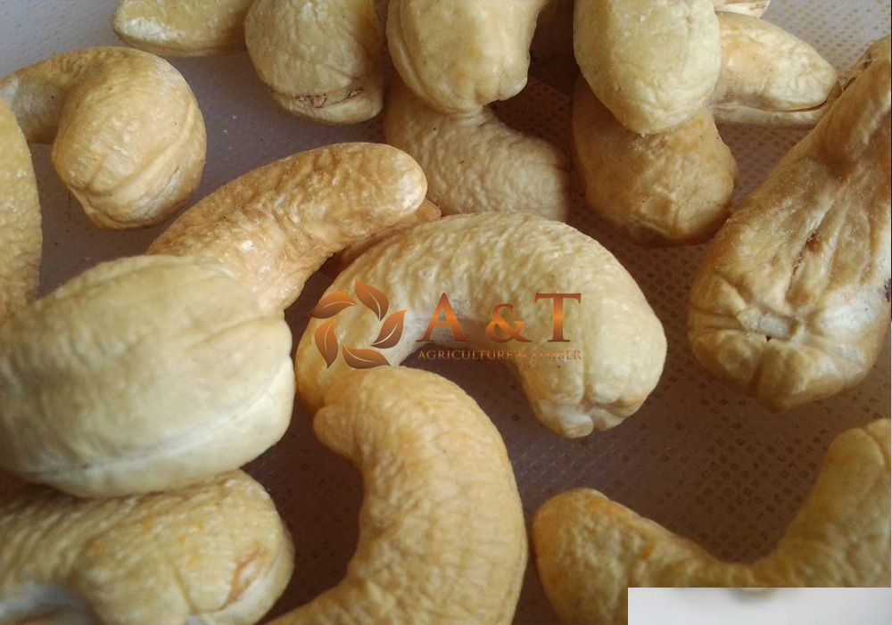 Grade A Raw Dried Cashew Nuts