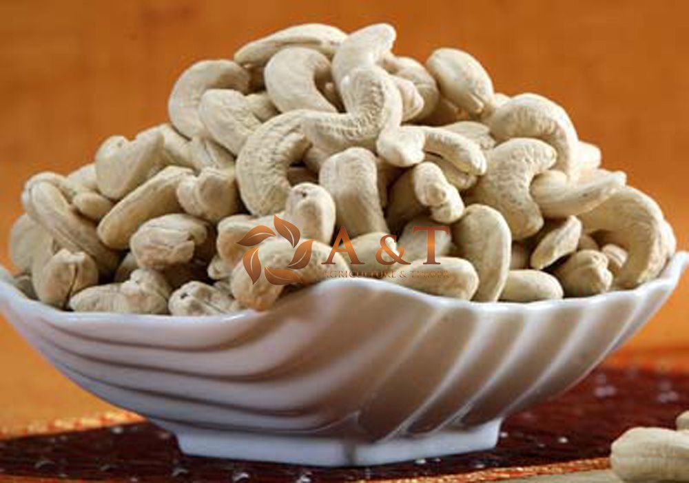 Dried Style Vietnam Cashew Nuts/ Cashew Kernels ww240/ ww320