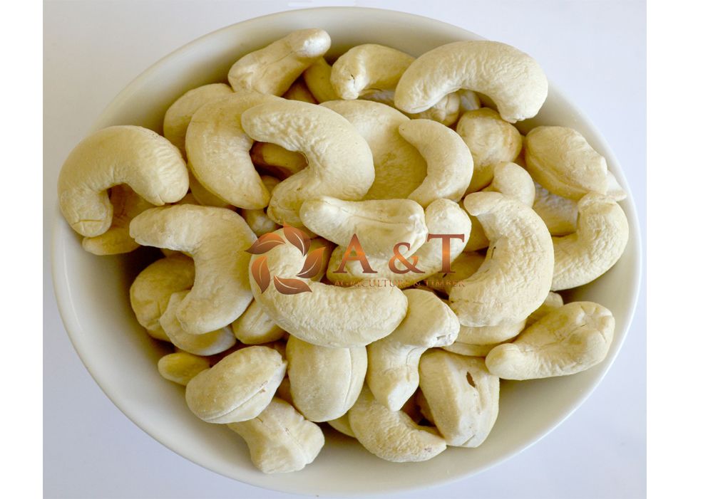 Cashew Nuts Export Cashew Nuts (GRADE A)