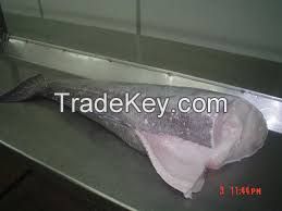 frozen seabass/chilean seabass fish fillet