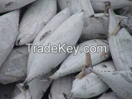 High quality seafood mackerel