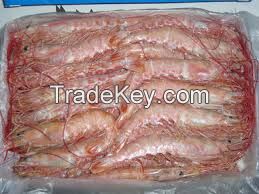 Black Tiger Shrimp Frozen