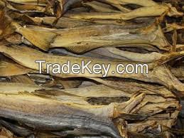 Dry Stock Fish